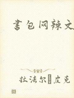 书包网辣文