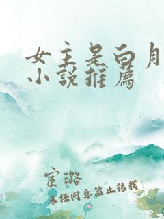 女主是白月光的小说推荐