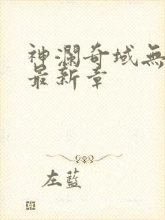 神澜奇域无双珠最新章