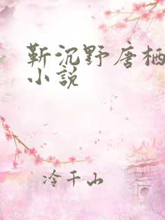 靳沉野唐栖雾的小说