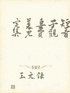 完美妻子短剧全集免费观看高清