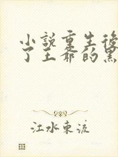 小说重生后我成了王爷的黑月光1