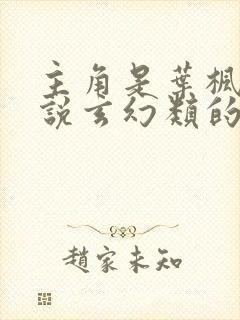 主角是叶枫的小说玄幻类的