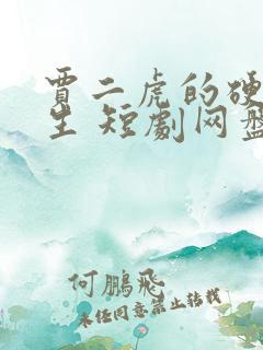 贾二虎的硬核人生 短剧网盘文件