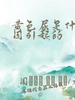 黄色尿是什么原因引起的