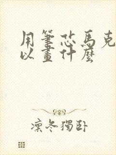 用笔芯马克笔可以画什么