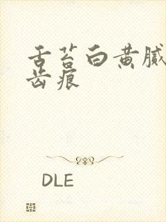 舌苔白黄腻是有齿痕