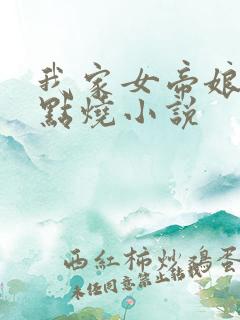 我家女帝娘子有点烧小说