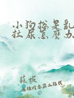 小狗总是乱拉屎拉尿怎么办