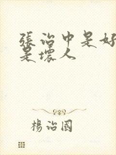 张治中是好人还是坏人