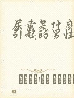 尿黄是什么原因引起的男性