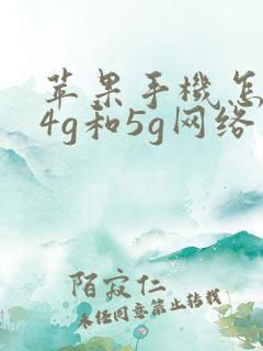 苹果手机怎么改4g和5g网络