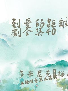 到爱的距离电视剧全集40