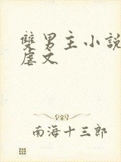 双男主小说推荐虐文