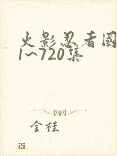 火影忍者国语版1~720集