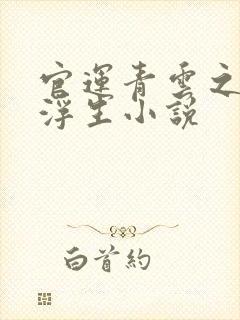 官运青云之路刘浮生小说