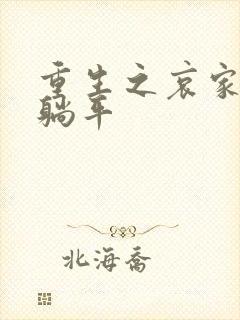 重生之哀家只想躺平