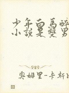 少年白马醉春风小说是双男主吗