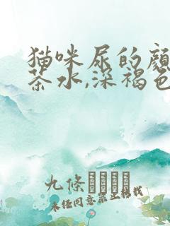 猫咪尿的颜色像茶水,深褐色