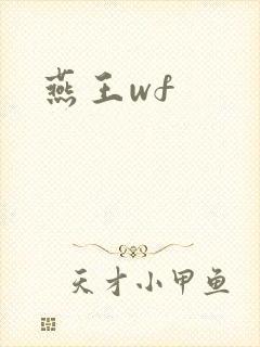 燕王wf