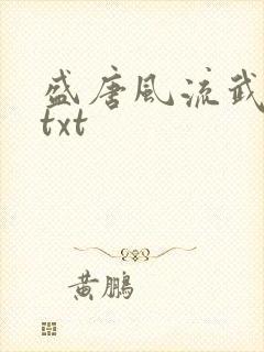 盛唐风流武状元txt