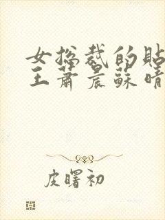 女总裁的贴身兵王萧晨苏晴