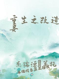 重生之改造糟糠妻