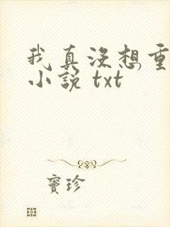 我真没想重生啊小说 txt