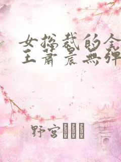 女总裁的全能兵王萧晨无弹窗