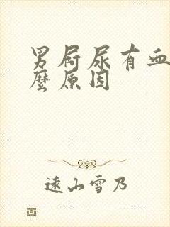 男屙尿有血是什么原因