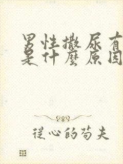 男性撒尿有异味是什么原因