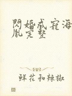 闪婚成宠海彤战胤完整