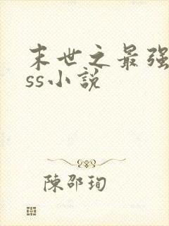 末世之最强boss小说