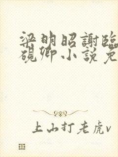 梁明昭谢临飞沈砚卿小说免费阅读