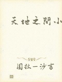 天地之间小说