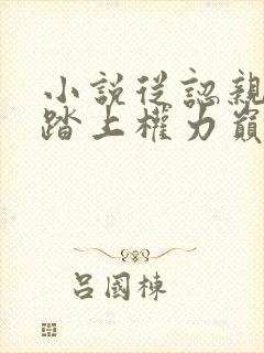 小说从认亲开始踏上权力巅峰正版免费