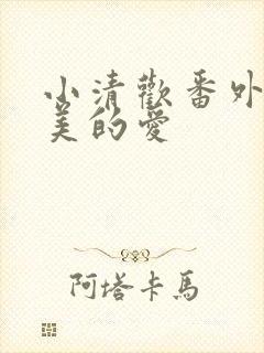 小清欢番外篇完美的爱