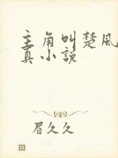 主角叫楚风的修真小说