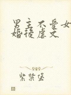 男主不爱女主的婚后虐文