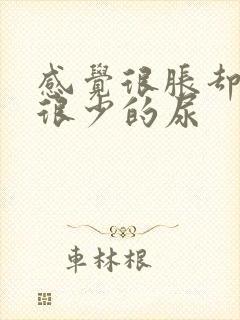 感觉很胀却尿出很少的尿