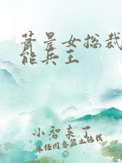 萧晨女总裁的全能兵王