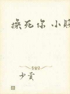 操死你 小贱货
