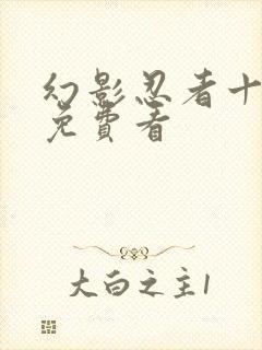 幻影忍者十七季免费看