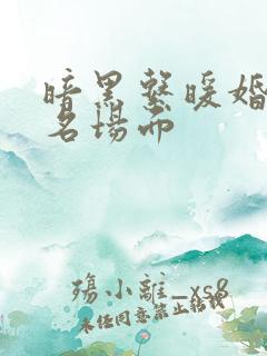 暗黑系暖婚水里名场面