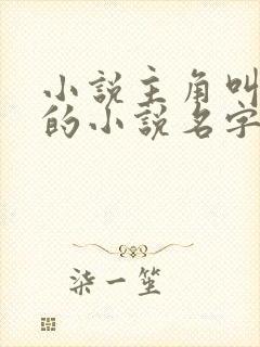 小说主角叫叶枫的小说名字