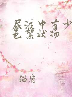 尿液中有少许白色絮状物