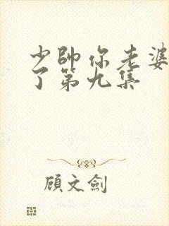 少帅你老婆又跑了第九集