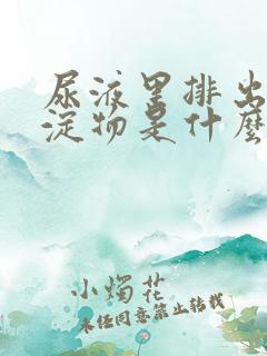 尿液里排出的沉淀物是什么原因