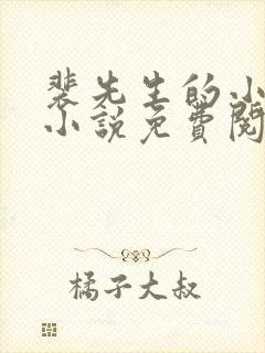 裴先生的小可怜小说免费阅读全文