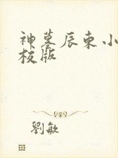 神墓辰东小说精校版